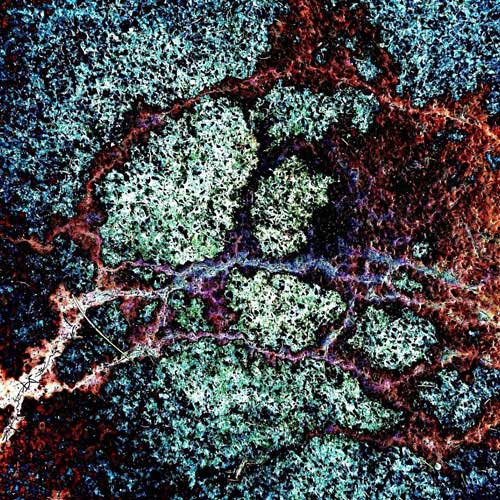 Elmar Diks-Contemporary-Digital-Photo-Art-2-Afar_c